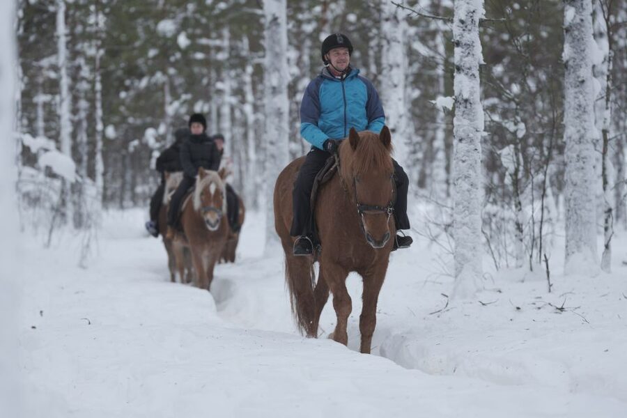 Levi: Snowy Forest Ride and Polar Lights Tours - A quiet way to see Lapland from horseback