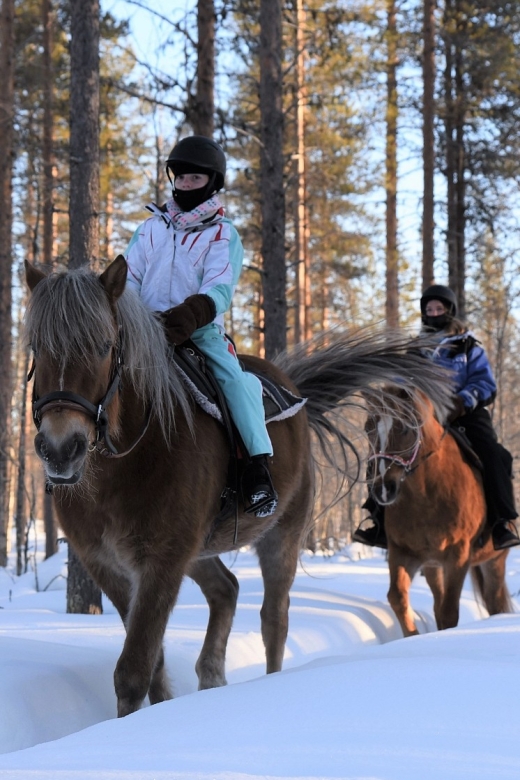 Levi: Snowy Forest Ride and Polar Lights Tours - What the $147 price really buys you