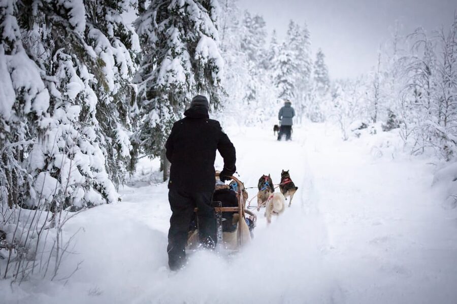 Levi: Winter Highlights Family Day - Key points to know before booking