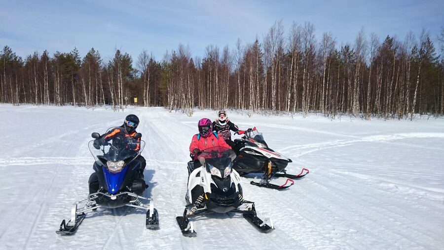 Levi: Winter Highlights Tour with Snowmobiling - At a Glance