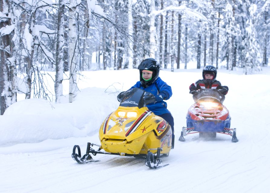 Levi: Winter Highlights Tour with Snowmobiling - One Morning, Three Lapland Classics