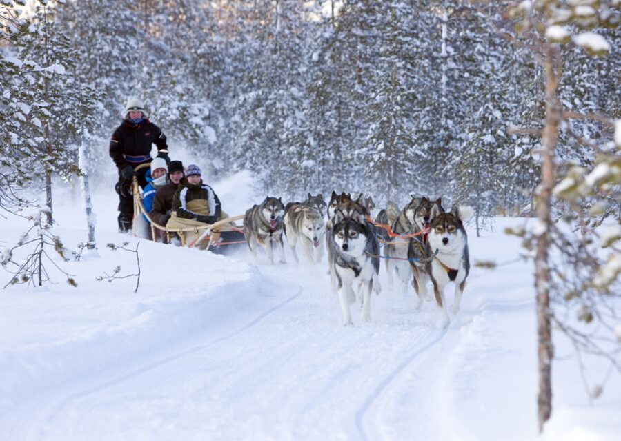 Levi: Winter Highlights Tour with Snowmobiling - Meeting the Huskies and Taking the 500-Meter Ride