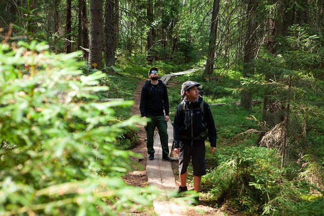 Magical Taiga Forest Hike with Lunch and Transportation - Entering Liesjärvi National Park on foot