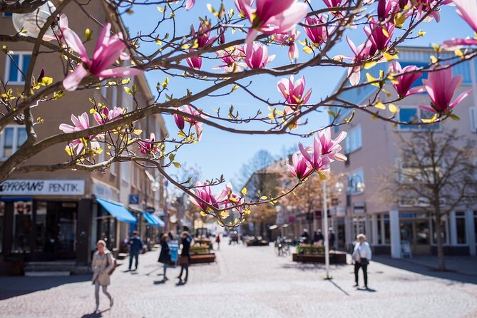 Mariehamn Private Guided Walking Tour - Torggatan and the practical side of town
