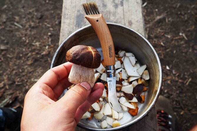Mushroom Hunting in a National Park - Returning through the forest and back to Helsinki