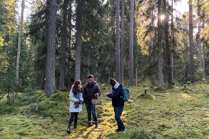 Mushroom Hunting in a National Park - Weather, clothing, and comfort