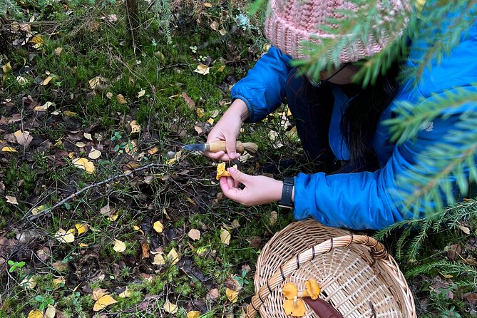 Mushroom Hunting in a National Park - Who should book this experience?