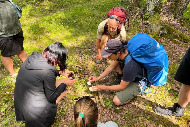 National Park Hike & Finnish Smoke Sauna Experience with Campfire Lunch - What the $199.62 price covers