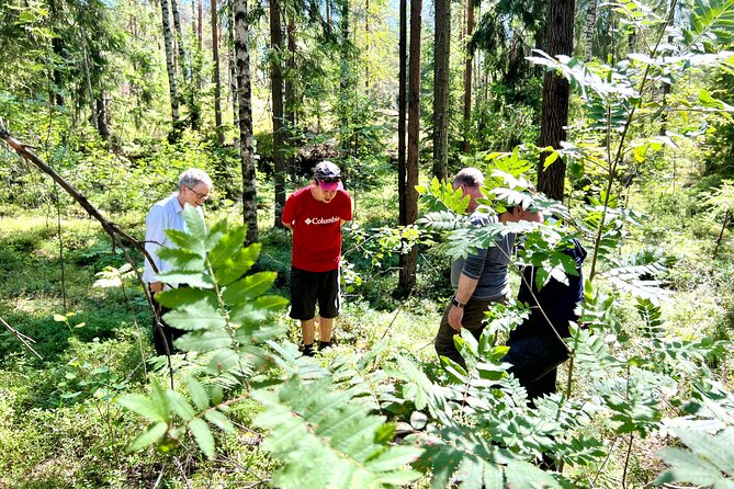 National Park Hike & Finnish Smoke Sauna Experience with Campfire Lunch - Timing, transport, and the return to Helsinki