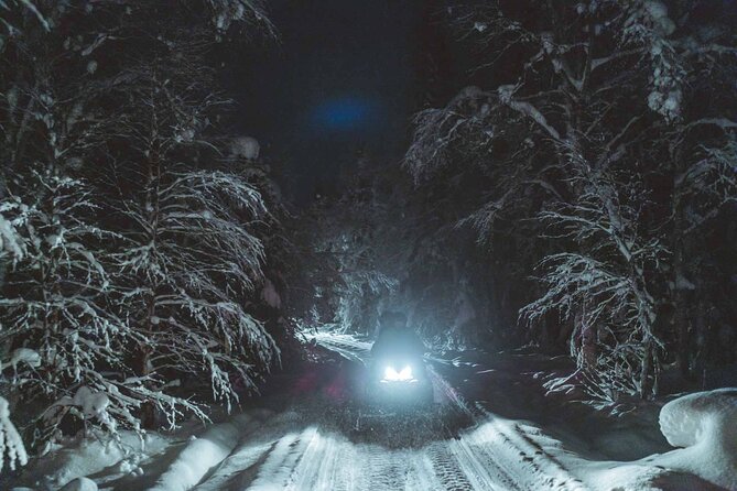 Night Snowmobile Safari, Rovaniemi - Who will enjoy this safari most
