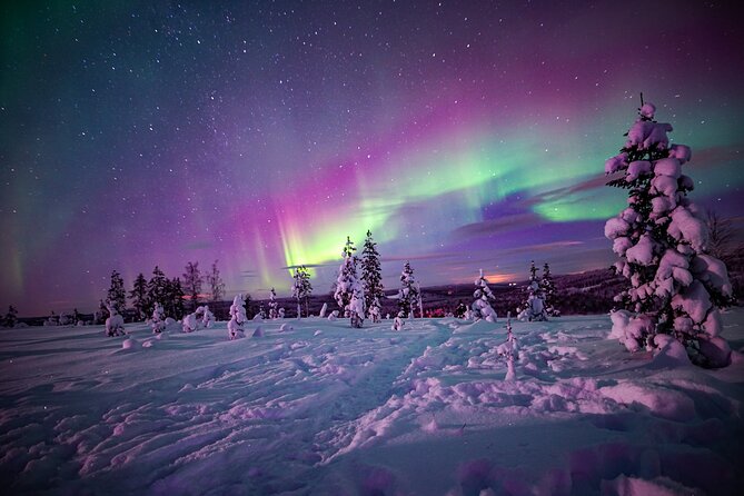 Night Snowshoeing Adventure under the Northern Lights - Key points to know before booking
