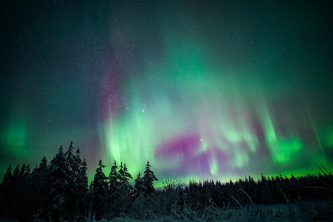Night Snowshoeing Adventure under the Northern Lights - How much snowshoeing will you really do?