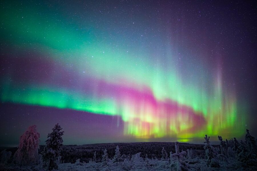 Night Snowshoeing Adventure under the Northern Lights - Who will enjoy this Arctic outing most?