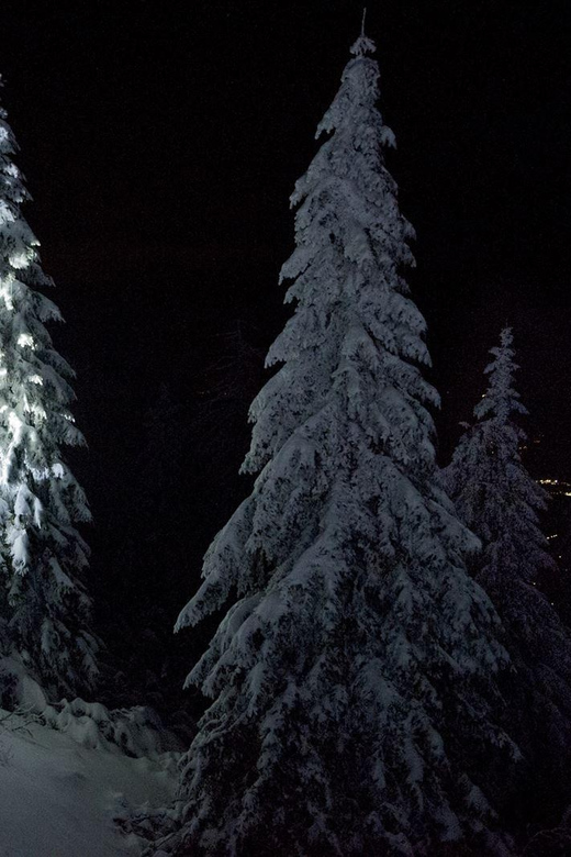 Night Snowshoeing Lapland Experience - Key points to know before booking
