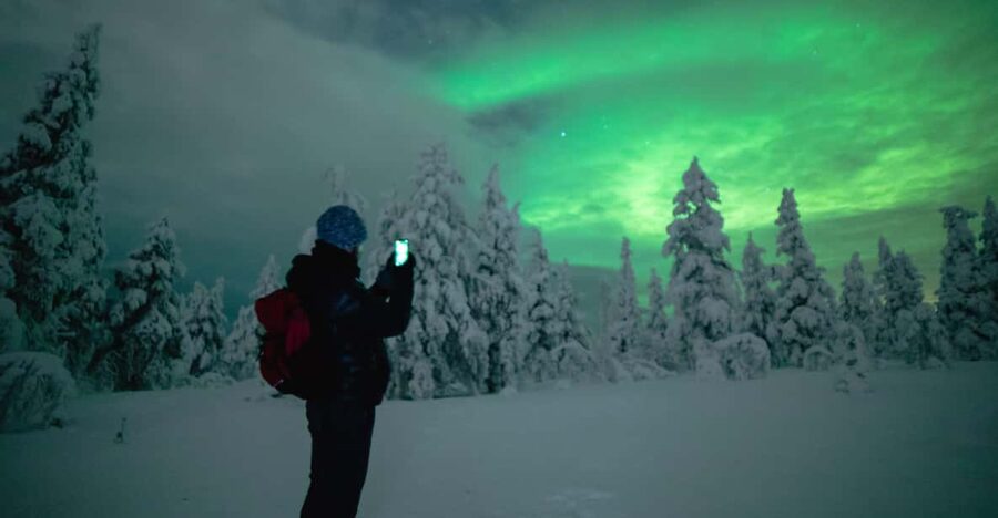 Night Snowshoeing Lapland Experience - Snowshoes, headlamps, and the first steps