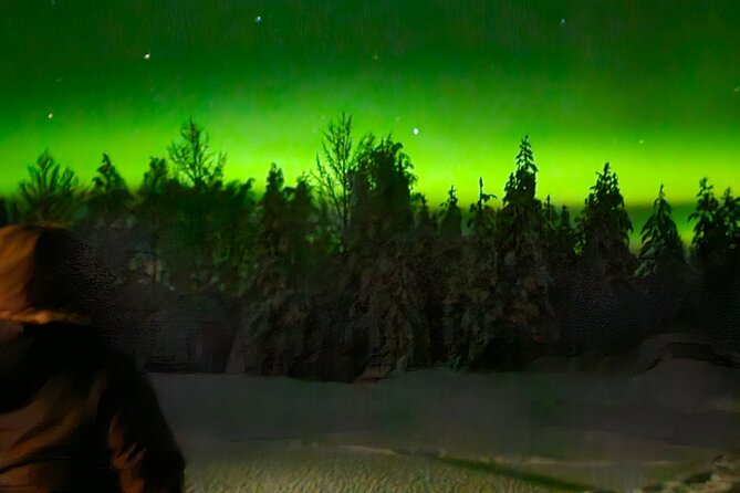Northern Lights Auroras from Kemi-Tornio with Pickup - Is $118.63 a fair price?