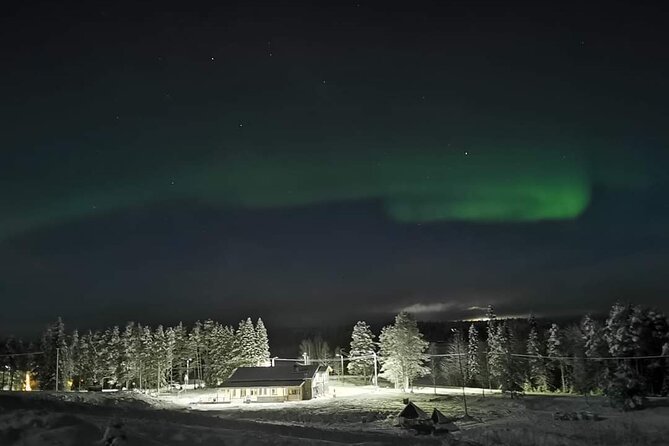 Northern Lights Auroras from Kemi-Tornio with Pickup - Who will enjoy this most?