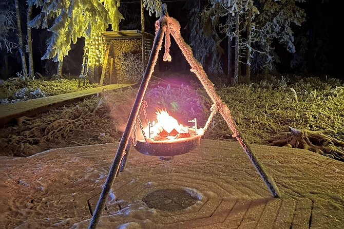 Northern Lights dinner in a Glass Igloo - Private service and guide quality