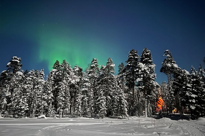 Northern Lights Holiday in Finland - Reindeer, fire-cooked food, and Sámi culture on Day 2