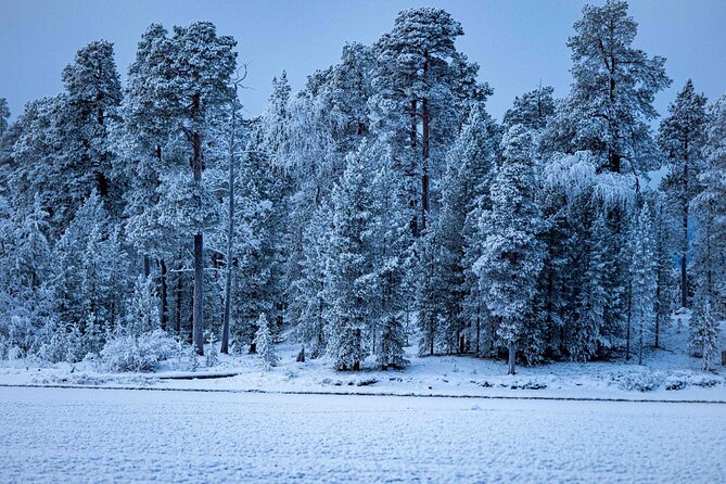 Northern Lights Holiday in Finland - Comfort, meals, and what you still need to bring