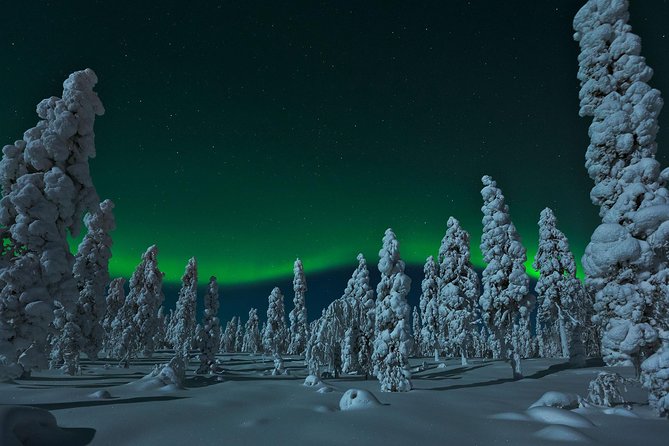 Northern Lights Hunt from Rovaniemi with Folk Tales and Snacks over Campfire - Leaving Rovaniemi at 9:30 p.m.