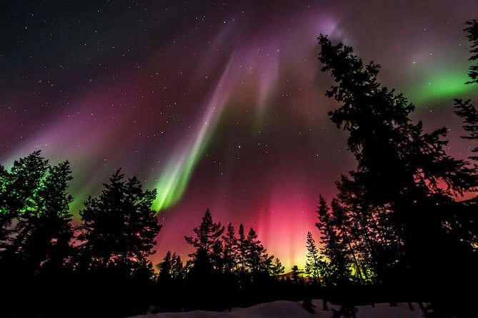 Northern Lights Hunt from Rovaniemi with Folk Tales and Snacks over Campfire - How good is the Northern Lights chase?