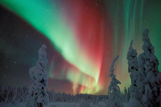 Northern Lights Hunt Including Snacks on Campfire from Levi - What this Northern Lights hunt is really like