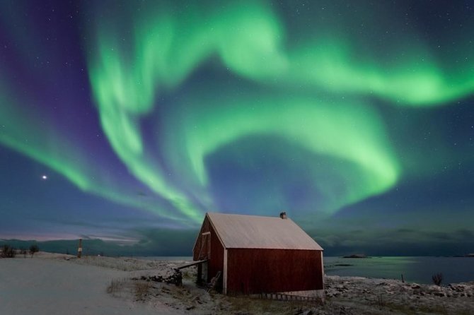 Northern Lights Hunt Including Snacks on Campfire from Levi - Finding a darker piece of Lapland