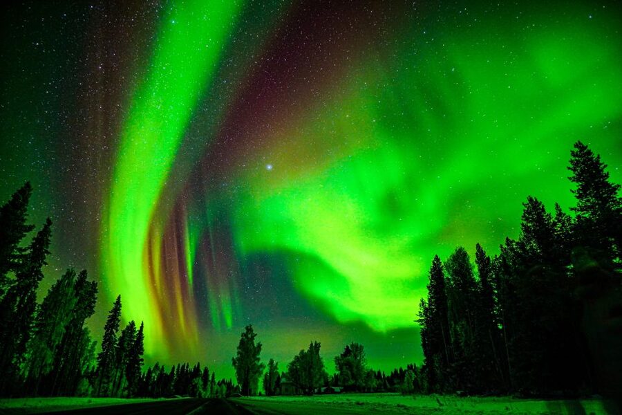 Northern Lights Hunting Adventure in Lapland - Booking details that matter