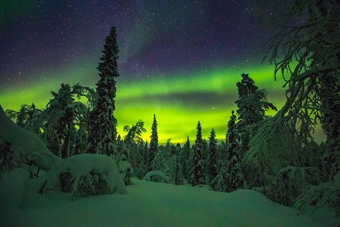 Northern Lights Hunting of Rovaniemi - Fire, sausages, and Finnish comfort food