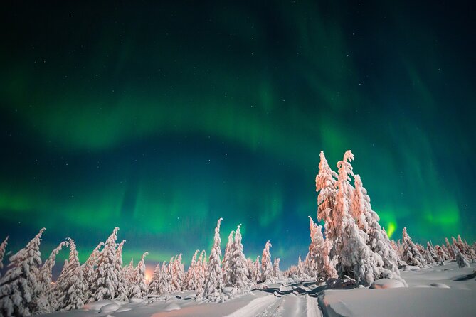 Northern Lights Hunting of Rovaniemi - Who will get the most from this tour?