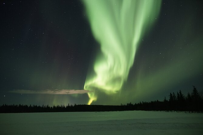 Northern Lights Hunting Photo Tour in Levi - How much value do you get for $146.66?