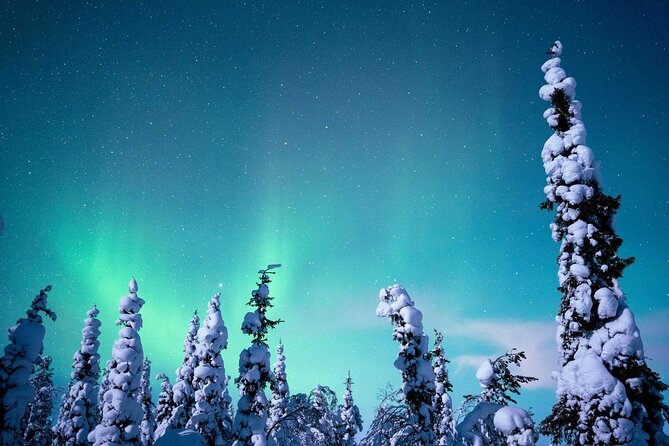 Northern Lights Hunting Photography Tour in Levi - Staying warm while you wait