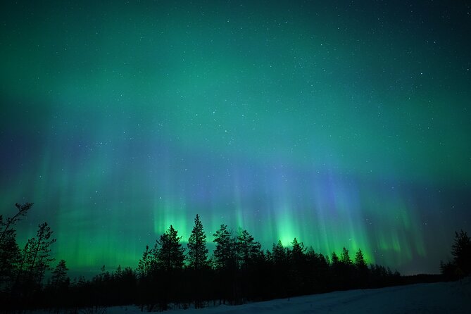 Northern Lights Hunting Photography Tour in Rovaniemi Finland - Key points before you book
