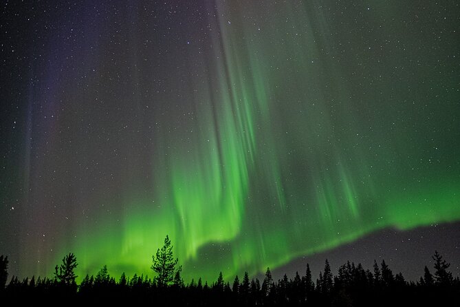 Northern Lights Hunting with a photographer (Only small groups) - The drive is part of the adventure