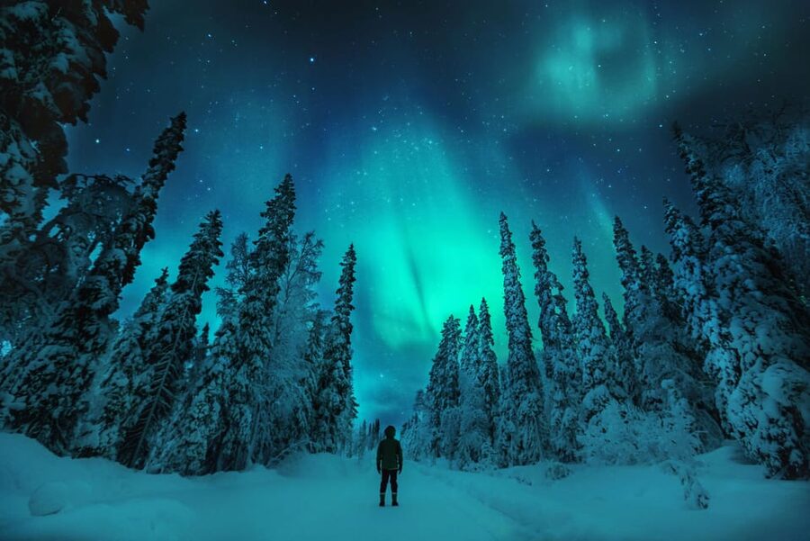 Northern Lights Hunting with Aurora Workshop - Who will enjoy this Aurora hunt most?
