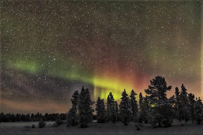 Northern Lights Hunting with Snowmobiles - Meeting at Pekankatu 4 in central Rovaniemi