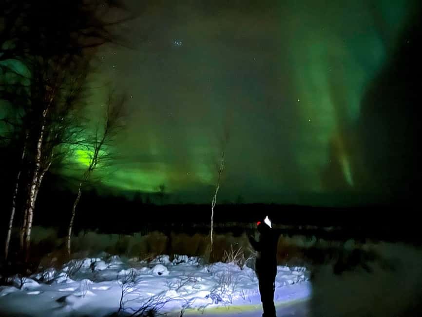 Northern lights private tour Rovaniemi - Key points at a glance