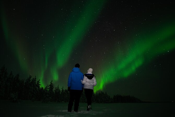 Northern lights Reindeer Sledge Ride - Key points to know before booking