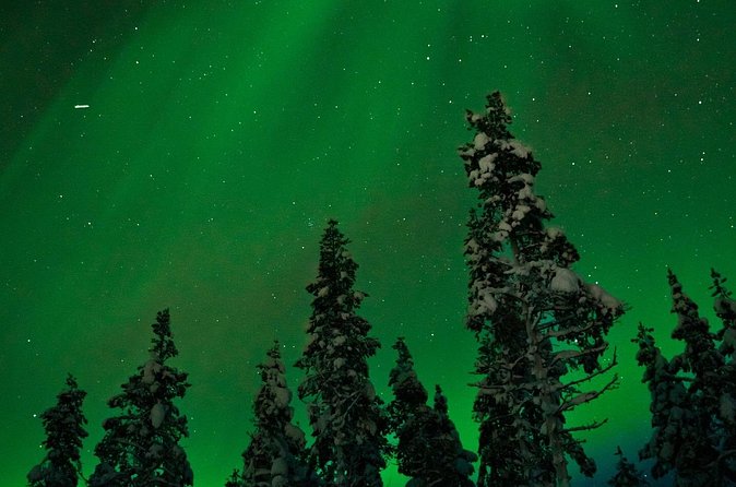 Northern lights Reindeer Sledge Ride - Is $131.87 fair value?