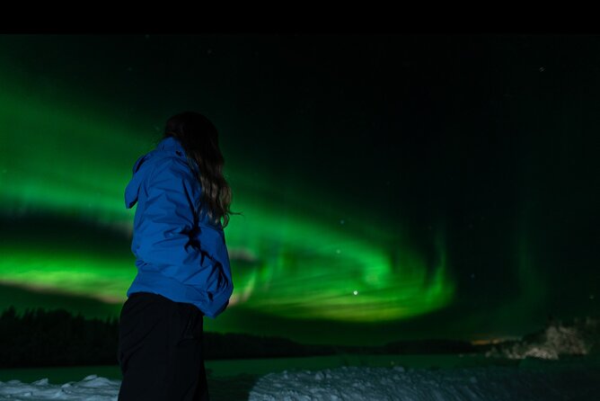 Northern Lights Rovaniemi: Guaranteed Tour with Local Guide - The Lapland search and the value of local guiding