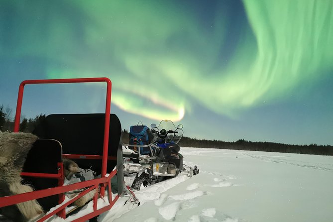 Northern Lights Sledge Ride - What the Northern Lights Sledge Ride is really like