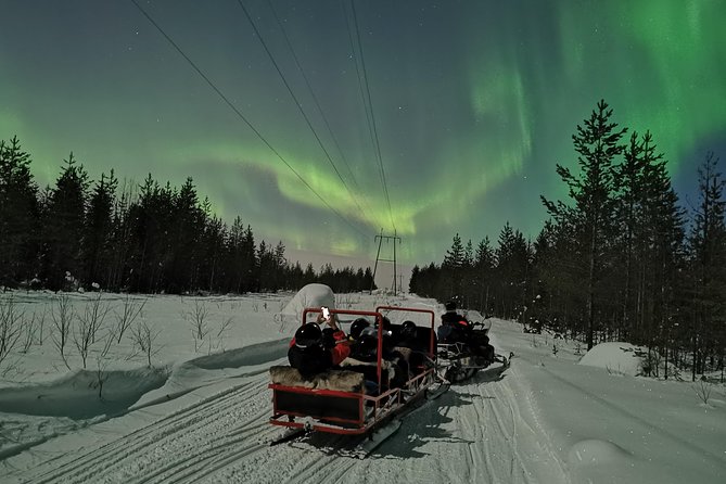 Northern Lights Sledge Ride - The campfire stop and warm drinks