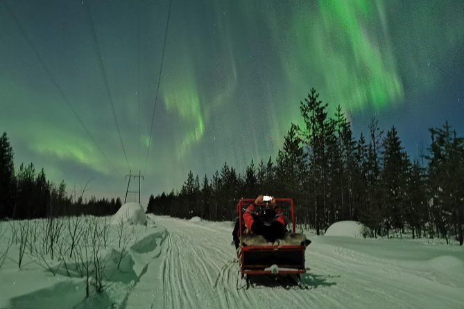Northern Lights Sledge Ride - Is $92.52 a fair price?