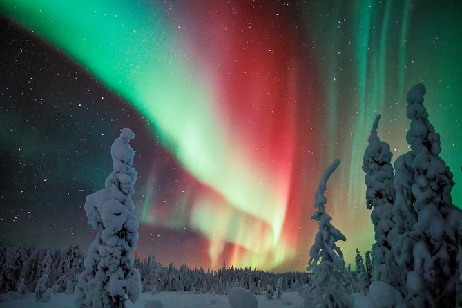 Northern Lights Snowmobile Driving Safari - Equipment, cold, and practical comfort