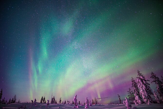 Northern Lights Snowmobile Sledge Ride in Rovaniemi - Key points to know before booking