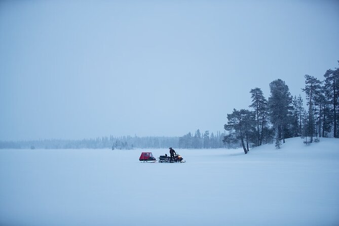 Northern Lights Snowmobile Sledge Ride in Rovaniemi - A quiet Arctic ride instead of a snowmobile lesson