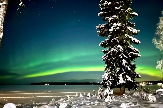 Northern Lights Tour Snowmobile Driving - Key points to know before you book