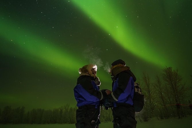 Northern lights tour to Lake Inari from Ivalo, Reindeers & Dinner - Who will enjoy this evening most?