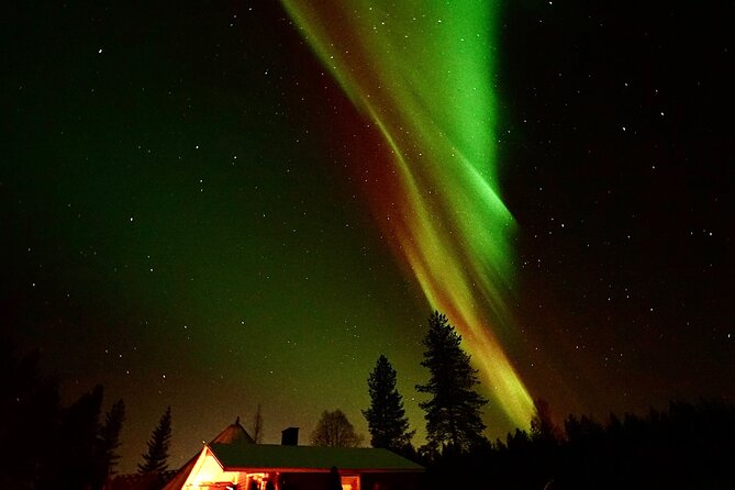 Northern Lights Trip to a Magical Place in Lapland - The 7:00 pm pickup and ride into the forest